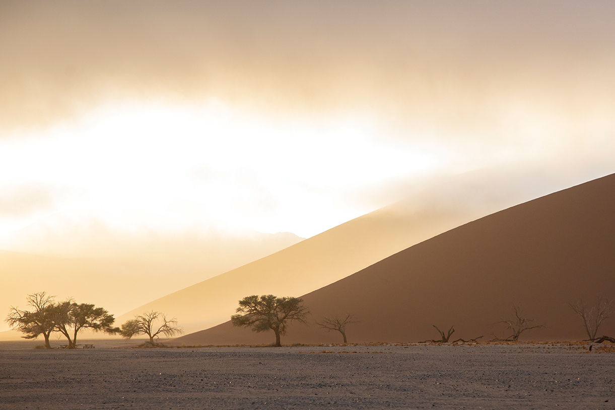 Namibian desert dunes 